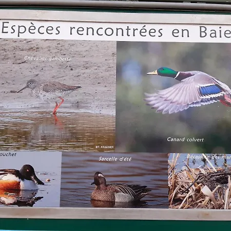 Apartmán Les Obiones, Vue Laterale Mer, Mahon Plage, Magnifique 4p, Avec Balcon , Parking Prive Gratuit, Wifi, Classe 2 Etoiles, Exposition Plein Sud En Baie De Somme *