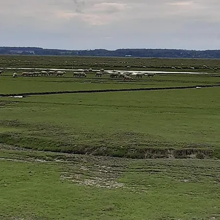 Les Obiones, Vue Laterale Mer, Mahon Plage, Magnifique 4p, Avec Balcon , Parking Prive Gratuit, Wifi, Classe 2 Etoiles, Exposition Plein Sud En Baie De Somme * Fort-Mahon-Plage