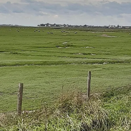 Lägenhet Les Obiones, Vue Laterale Mer, Mahon Plage, Magnifique 4p, Avec Balcon , Parking Prive Gratuit, Wifi, Classe 2 Etoiles, Exposition Plein Sud En Baie De Somme