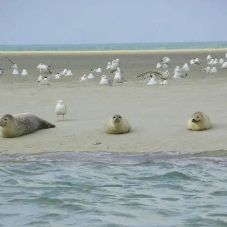 아파트 Les Obiones, Vue Laterale Mer, Mahon Plage, Magnifique 4p, Avec Balcon , Parking Prive Gratuit, Wifi, Classe 2 Etoiles, Exposition Plein Sud En Baie De Somme